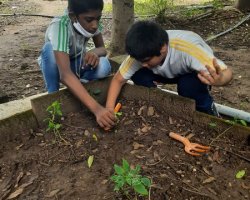 Std VI Field Trip to Eco Farm at Wada